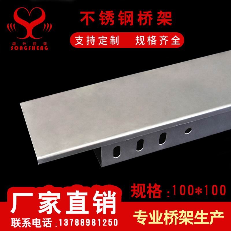 不锈钢槽式100100