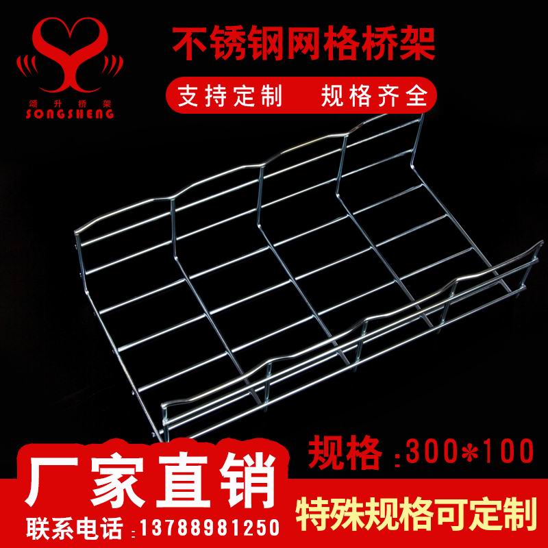 网格不锈钢300100