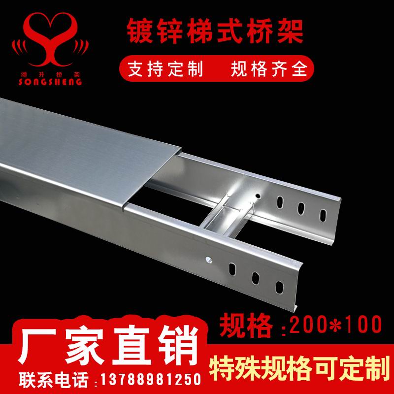 镀锌梯式200100