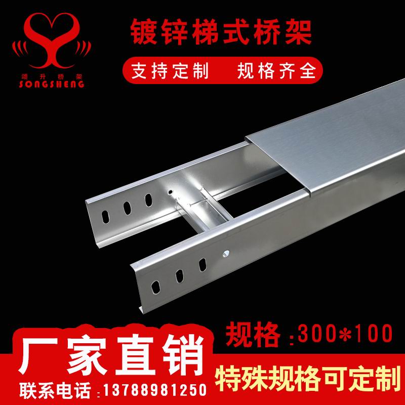 镀锌梯式300100