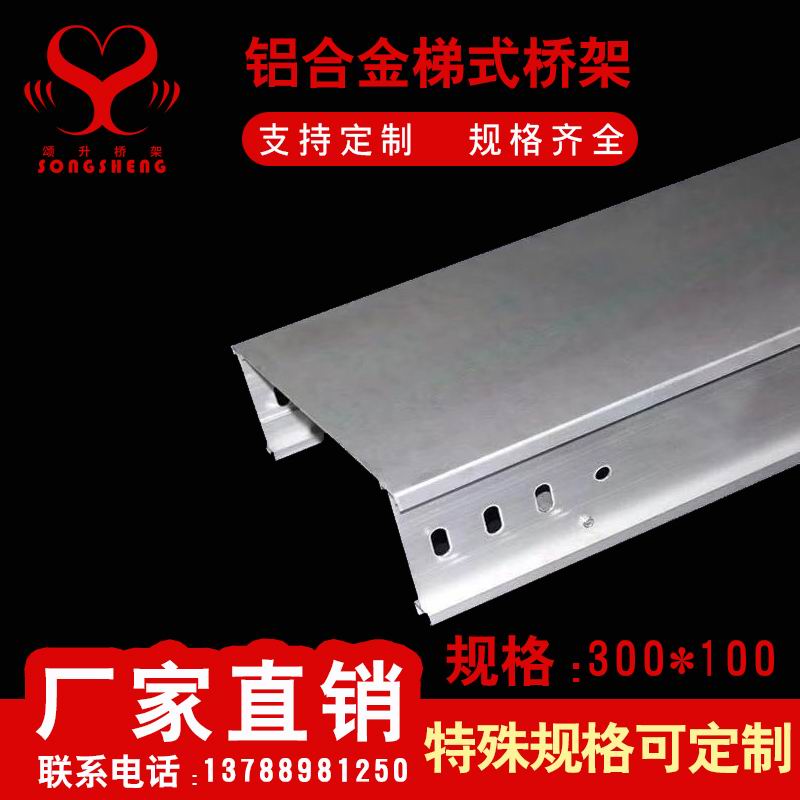 铝合金梯式300100